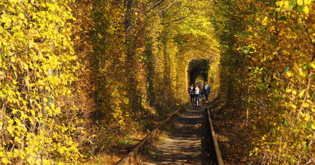 愛のトンネル