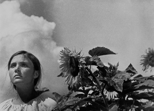白黒映画の一場面。空を見上げる若い女性の顔とヒマワリの花